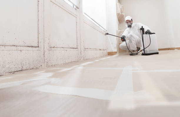 24/7 Emergency Mold Removal experts in Bloomingdale, IL