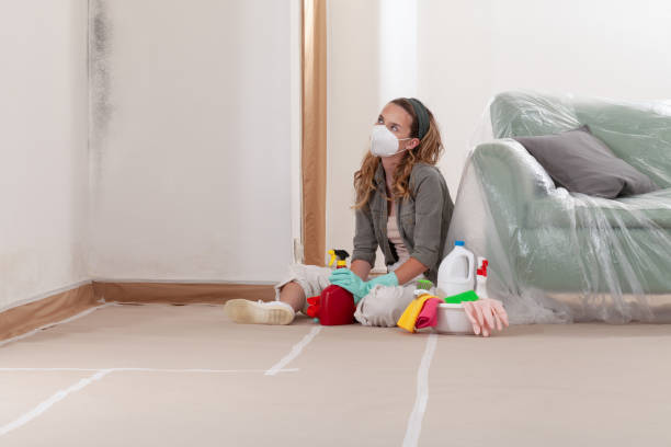 Reliable Mold Removal contractor in Bloomingdale, IL by Mold Remediation HQ